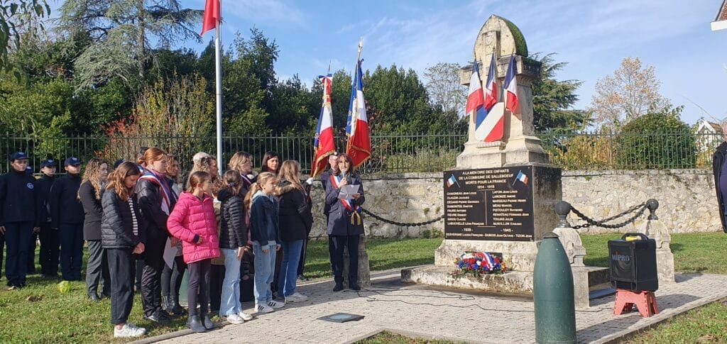Cérémonie commémorative du 11 novembre, photo 5