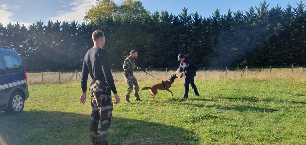 Découverte des métiers de la Gendarmerie, photo 4