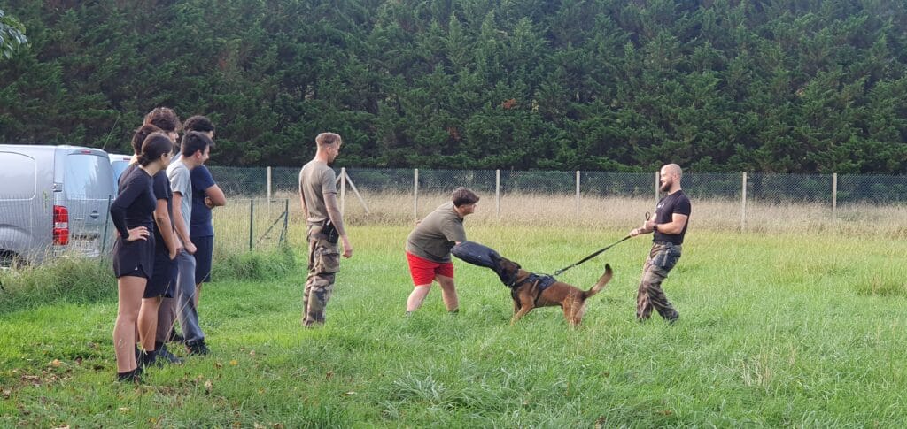 Découverte des métiers de la Gendarmerie, photo 3
